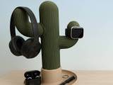 Cactus jewelry holder-0