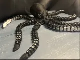 flexi+Kraken-0