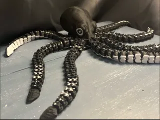 flexi+Kraken