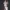 Witch Black Desert Online