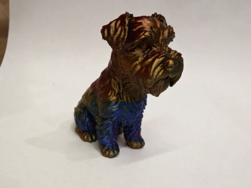 Schnauzer Mediano