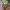 Sprout Pot Garden Buddy – Noah0x03