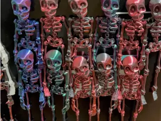 flexi skeleton