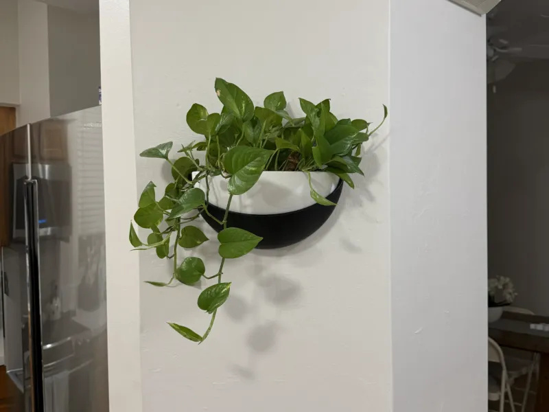 Wall-Mounted Planter