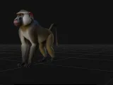 baboon-0