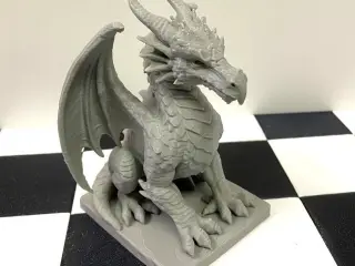 Vigilant dragon