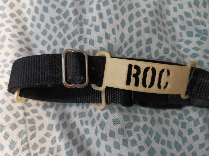 Etiqueta para collar de perro