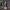 3d Scanned Dildo Mold (Hard)