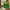 3 Leaf Clover Planter | Shamrock Flower Pot