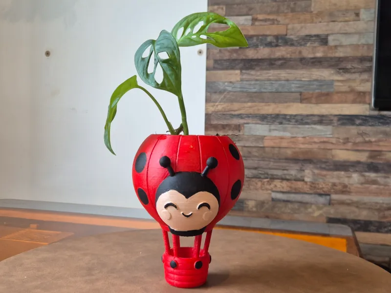 Pot montgolfiere coccinelle decoration cute