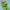 #010 Caterpie – Low Poly Pokémon