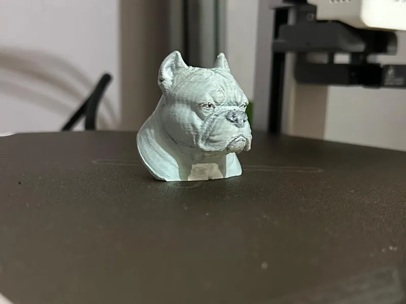 busto bully pocket