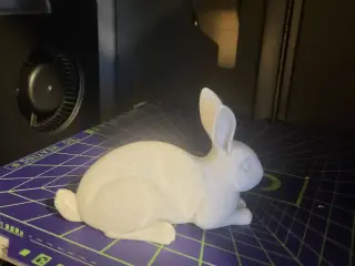 Relaxed rabbit