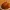 Low Poly Thanksgiving Turkey 3D Model