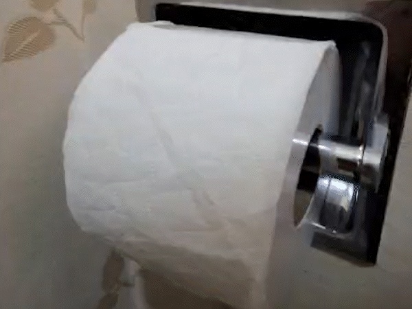 The Ultimate Fake Toilet Paper Prank - Bathroom Gag Gift
