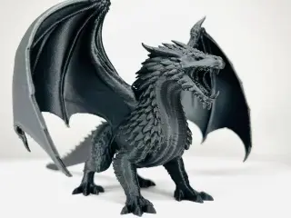 Winter dragon drakon