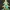 7 Number - Christmas Tree with Baubles, Tinsels and Star