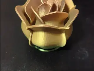Rose- Valentines