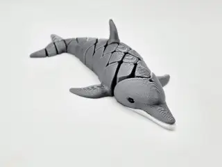 Cute Flexi Dolphin