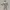 Robo cop
