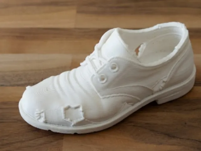 Broken Shoe