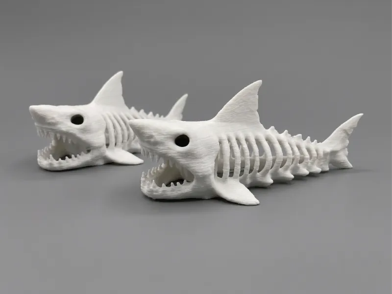 акула+скелет+3d+модель