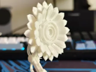 Cyber Sunflower