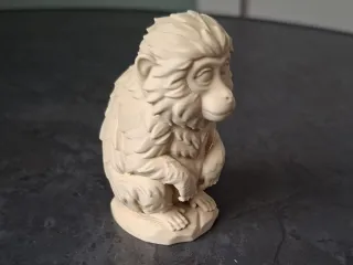 Cute Sitting Monkey