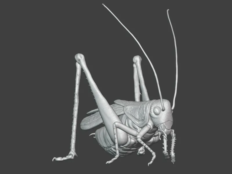 Insect Cricket Assembly Model