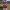 Bad Bunny – Street Style Rabbit