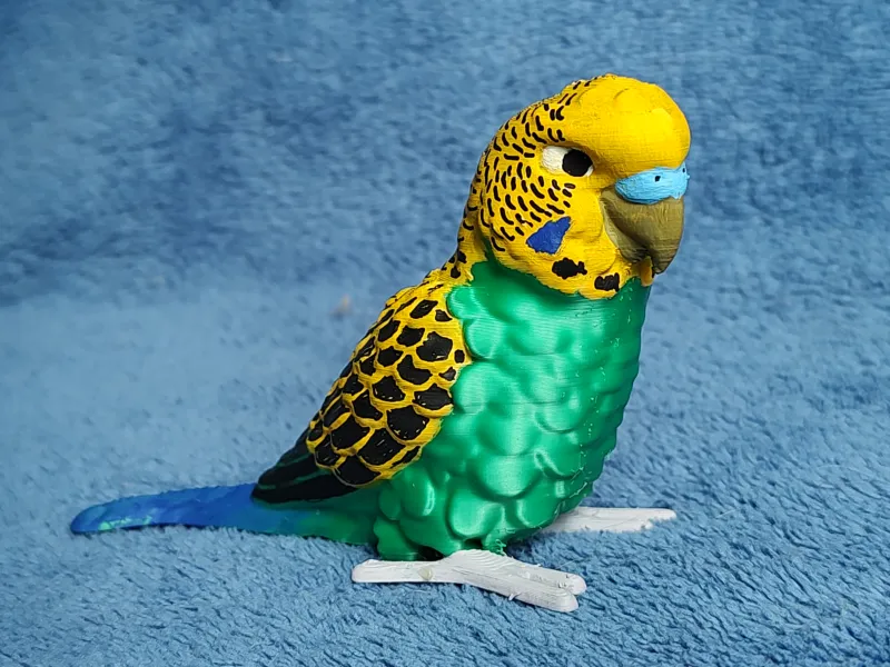 Budgie
