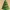 Low Poly Christmas Tree 3D Model