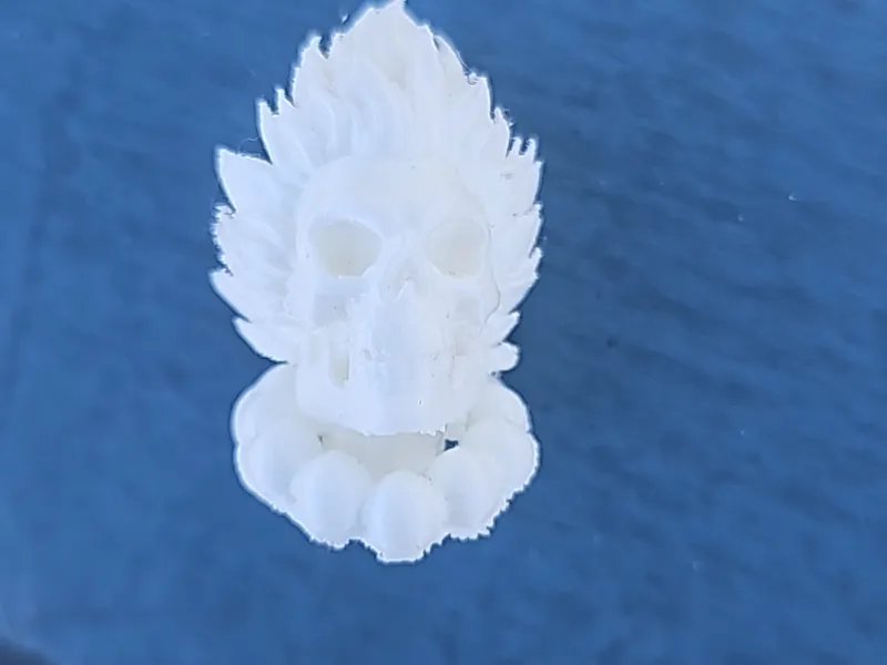 Akuma skeleton