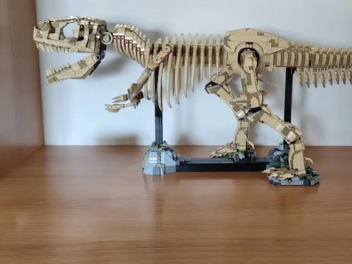 Fósil de T-Rex