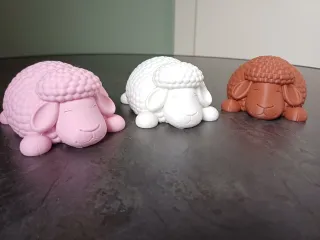 Cute Sleeping Sheep