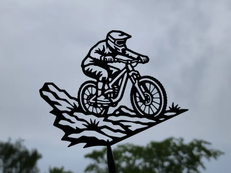 Mountain Bike Downhill 2D Wall Art