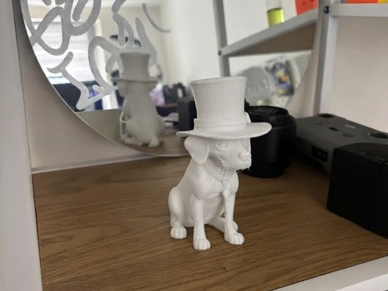 🎩 Super Snazzy Pooch in a Hat!