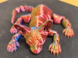 SphynxCat-0
