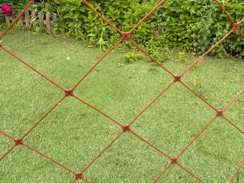 Plant Support Net