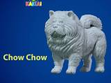 Chow Chow Dog model - Chow Dog statue - 3D print-0