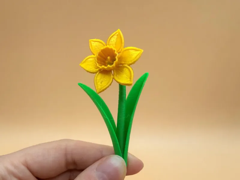 Flor de narciso
