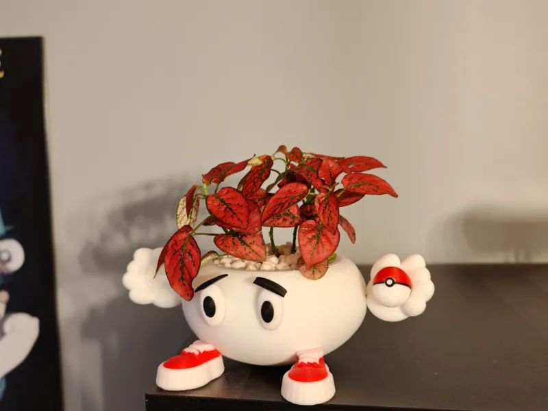 Poké çiçek saksısı