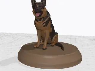 German Shepherd "Grimm"