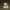 Baby Dragon in Crystal Cave