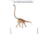 Brachiosaurus Skeleton - 3D Print Model-0