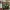 Hulk Wallart (1536P³)