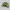 BMW M3/M4 (gen. G80 / G81 /G82) - sleutelhanger