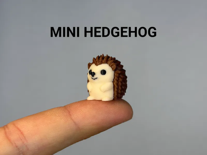 Mini Baby Hedgehog