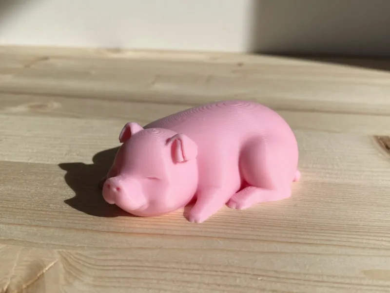 Sleeping Pig