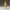 Meccha Chameleon Game Character – Cute Stylized Tiny Figure